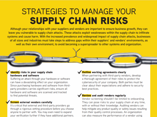 STRATEGIES TO MANAGE YOUR SUPPLY CHAIN RISKS 3